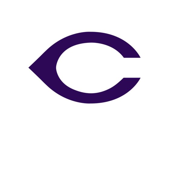 C Line Soccer Purple White2 Thumbnail