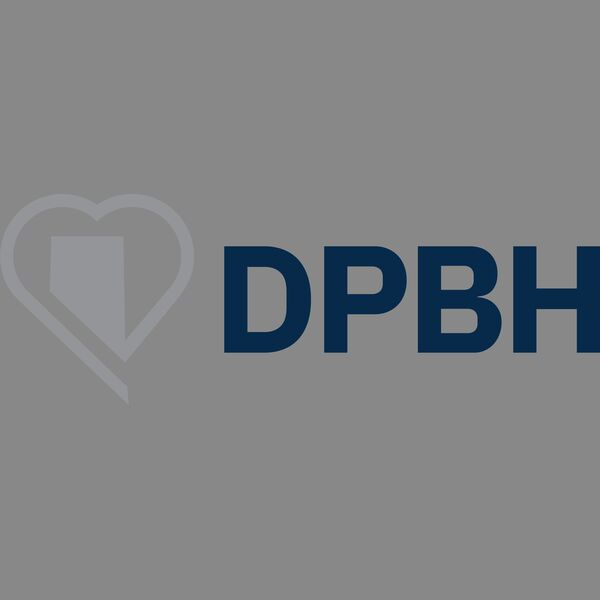 NDPBH Icon Text Lt Grey Navy Thumbnail